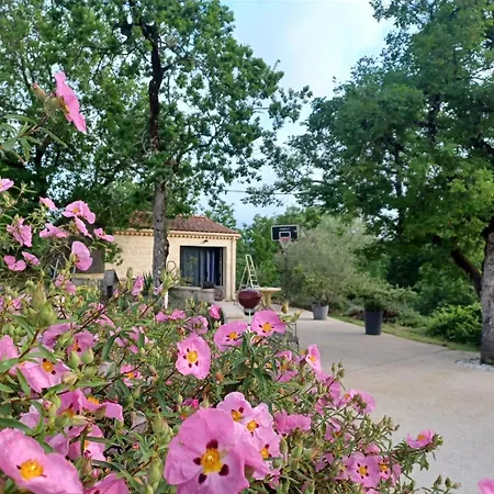 Domaine Anges Et Oiseaux 2 A 10 Personnes *