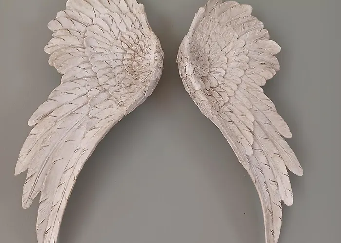 Villa Domaine Anges Et Oiseaux 2 à 10 Personnes Saint Paul de Loubressac